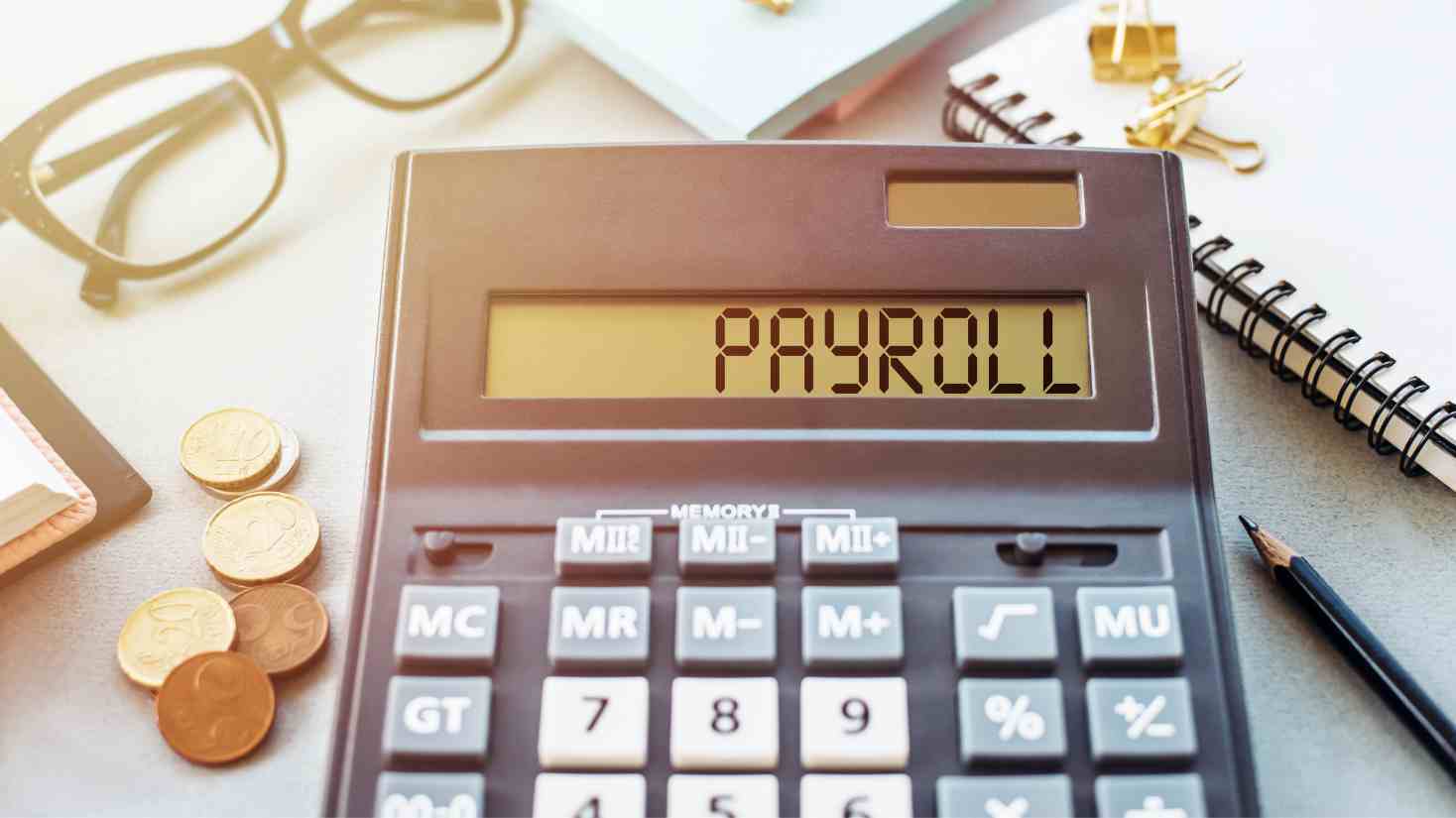 How Does Payroll Software Work?