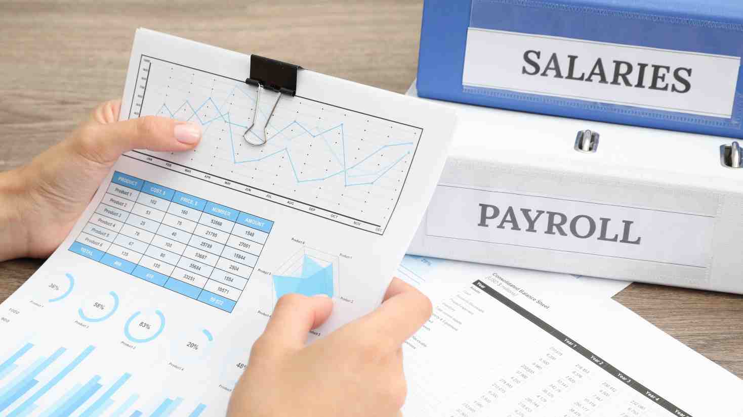 How to use payroll software