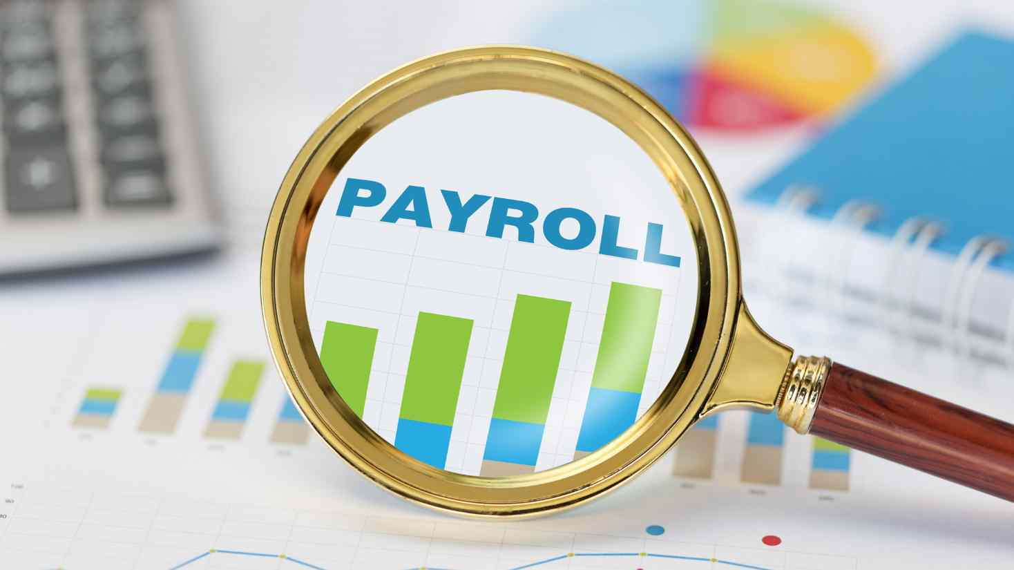 What Is Payroll Software?
